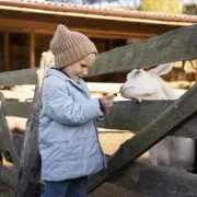 ROSHEIM MATERNELLE